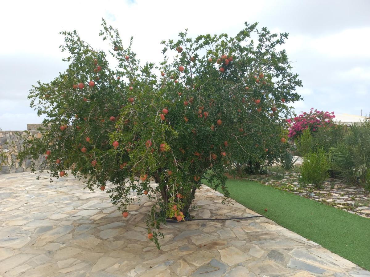 Jebel Shams Resort منتجع جبل شمس Dar Sawda Exterior foto